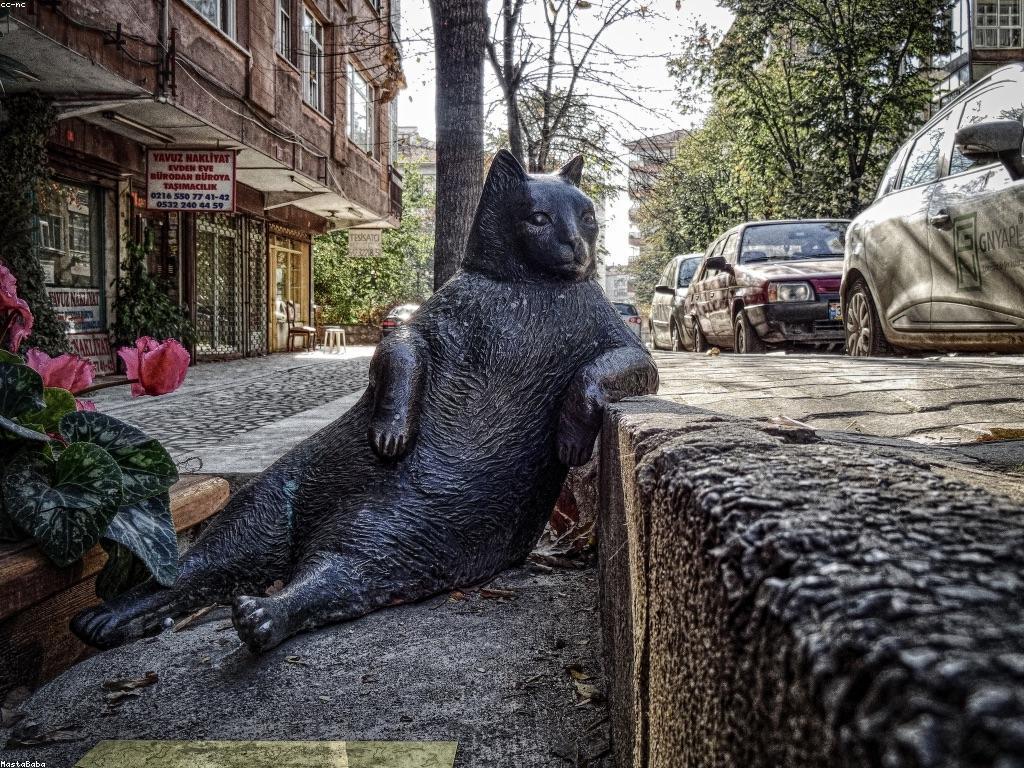 ααΆααααα
α»αααααα αα·ααααα
αα