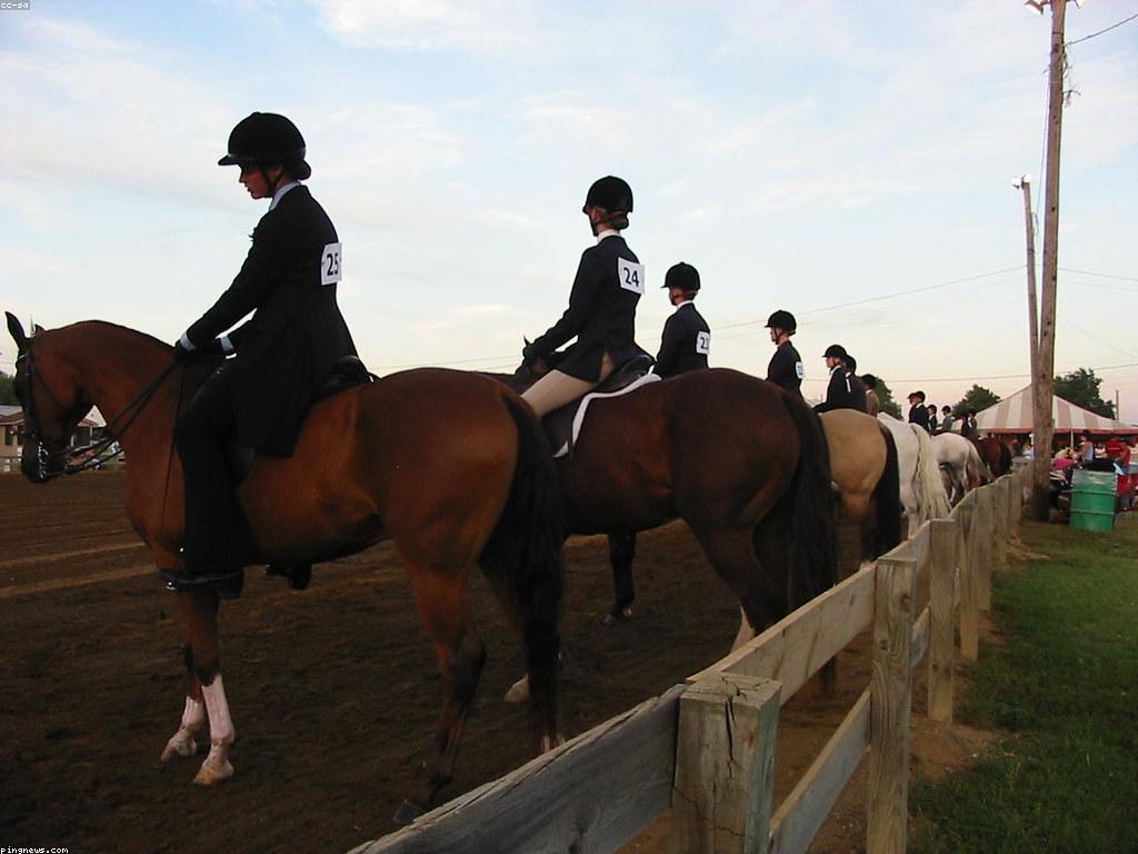 ការប្រកួតបញ្ជូន: ការវិវត្តន៍និងសារសំខាន់